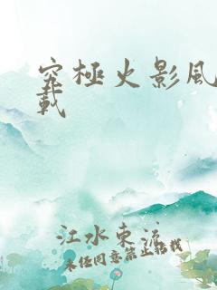 究极火影风暴下载