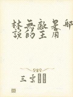 林无敌是哪部小说的主角