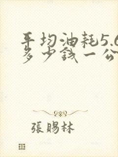 平均油耗5.6多少钱一公里