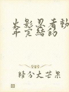 火影忍者动漫哪年完结的