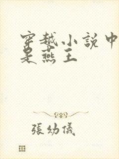 穿越小说中男主是燕王