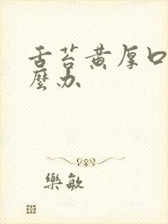 舌苔黄厚口臭怎么办