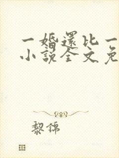 一婚还比一婚高小说全文免费