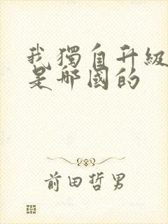 我独自升级漫画是哪国的