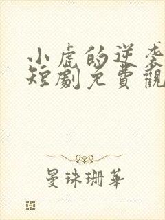 小虎的逆袭生活短剧免费观看