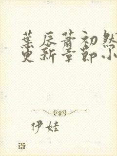 叶辰萧初然最新更新章节小说下载