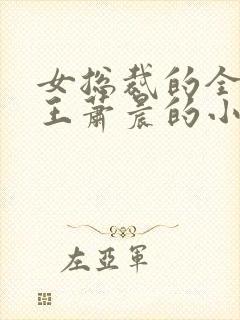 女总裁的全能兵王萧晨的小说