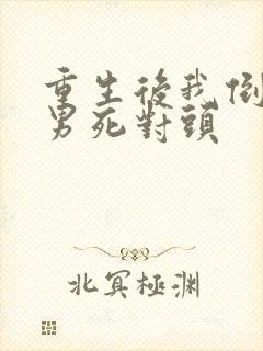 重生后我倒追渣男死对头