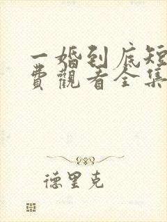 一婚到底短剧免费观看全集