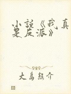 小说《我真的不是反派》