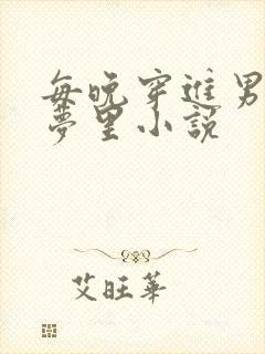 每晚穿进男神的梦里小说