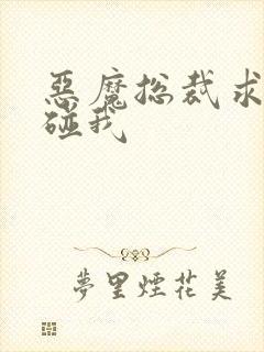 恶魔总裁求你别碰我