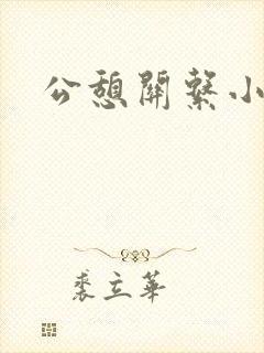 公憩关系小说