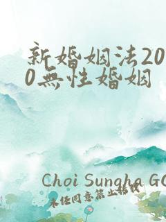 新婚姻法2020无性婚姻