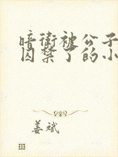 暗卫被公子抓回囚禁了的小说