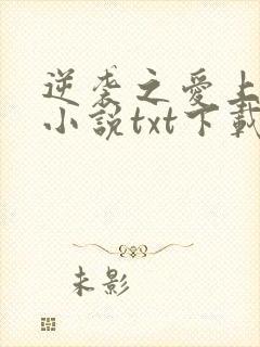 逆袭之爱上情敌小说txt下载