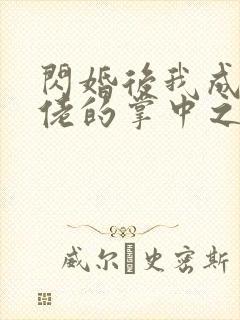 闪婚后我成了大佬的掌中之物免费看