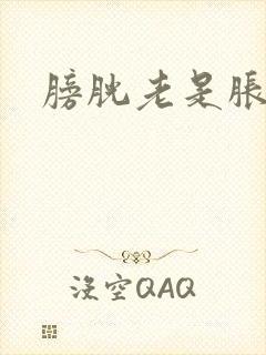 膀胱老是胀想尿