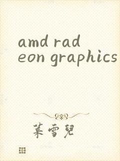 amd radeon graphics processor显卡怎么样