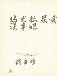 幼犬拉尿黄应该没事吧