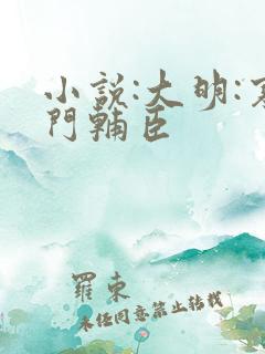 小说:大明:寒门辅臣