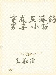 穿成反派的替身男妻 小说