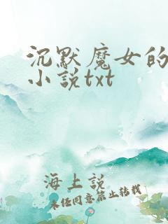 沉默魔女的秘密小说txt
