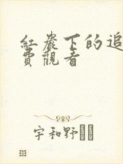 红岩下的追捕免费观看