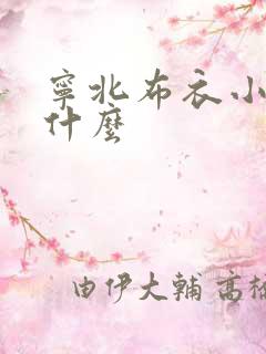 宁北布衣小说叫什么