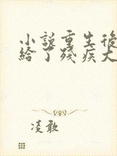 小说重生后我嫁给了残疾大佬全文阅读