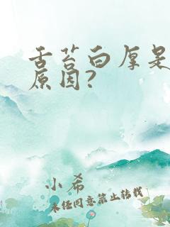 舌苔白厚是什么原因?