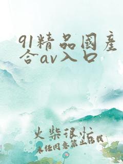 91精品国产综合av入口