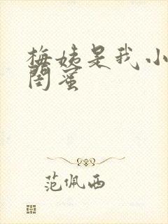 梅姨是我小妈的闺蜜