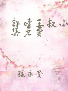 许晴王叔小说全集免费