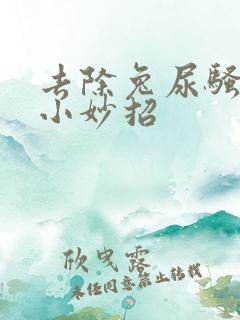 去除兔尿骚味的小妙招