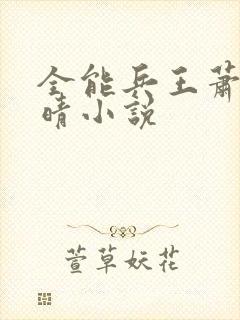 全能兵王萧晨苏晴小说