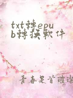 txt转epub转换软件
