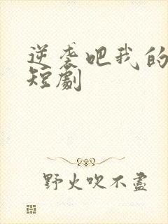 逆袭吧我的儿子短剧