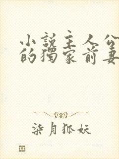 小说主人公秦少的独家前妻免费阅读