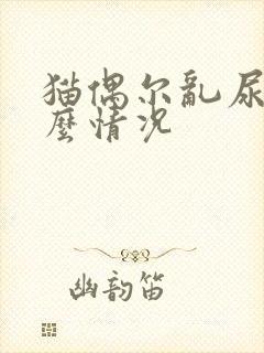 猫偶尔乱尿是什么情况