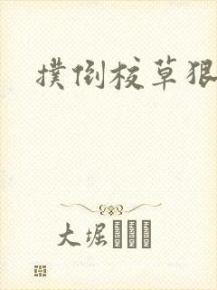 扑倒校草狠狠亲