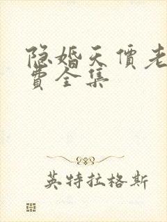 隐婚天价老公免费全集