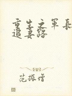 重生之军长漫漫追妻路