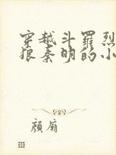 穿越斗罗烈火苍狼秦明的小说