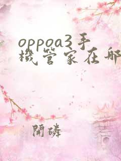 oppoa3手机管家在哪里找