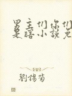 男主们你们是不是瞎小说免费阅读