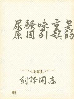 尿骚味重是什么原因引起的