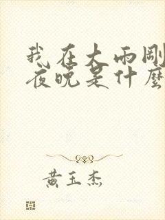 我在大雨刚停的夜晚是什么歌名