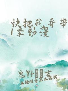 快把我哥带走第1季动漫