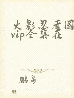 火影忍者国语版vip全集在